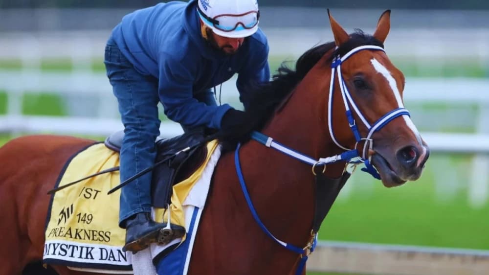 Magni blanditiis suscipit soluta natus consequatur quam.