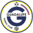 teamLogo